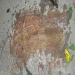 Vraj-Yatra-2014- (665)